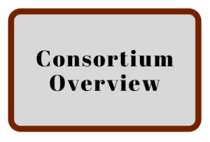Consortium Overview